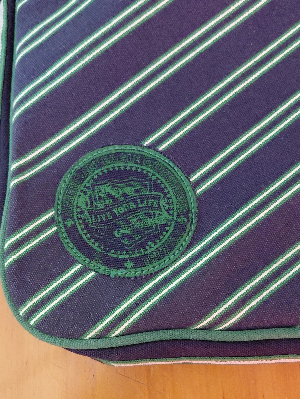 Vtg Y2K American Eagle  Striped Laptop Bag